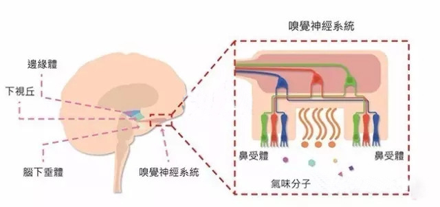 香薰精油推荐