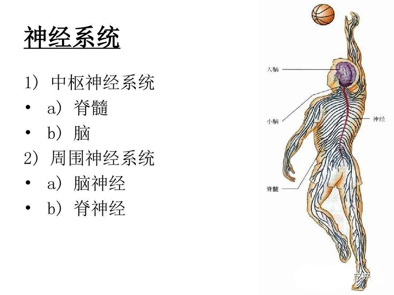 香薰机多少钱一台