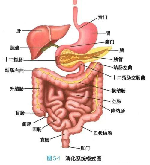 香薰机的价格