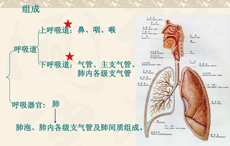 香薰怎么用