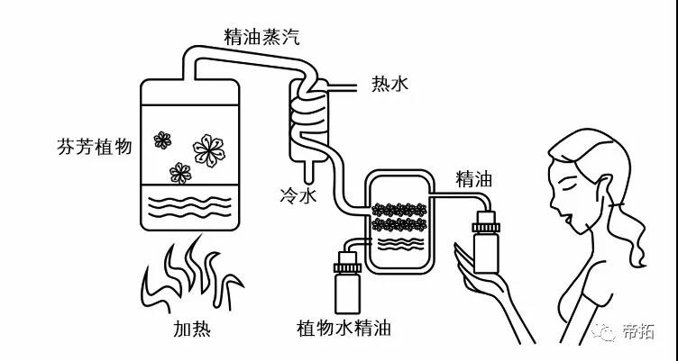 香薰是什么东西