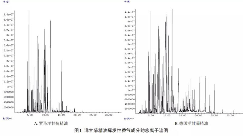 精油公司